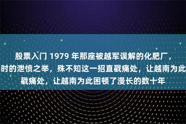 股票入门 1979 年那座被越军误解的化肥厂，他们以为是中国撤军时的泄愤之举，殊不知这一招直戳痛处，让越南为此困顿了漫长的数十年